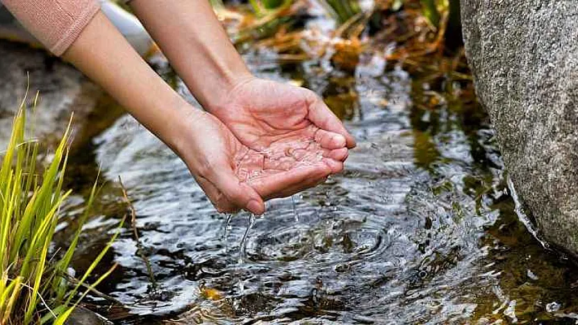 İl Tarım Müdürlüğü'nden Uyarı: Başvurular Başladı!