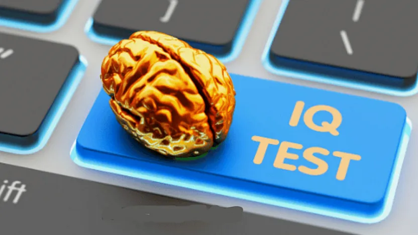 IQ Seviyesi En Yüksek İller Belirlendi. Afyon Kaçıncı Sırada?
