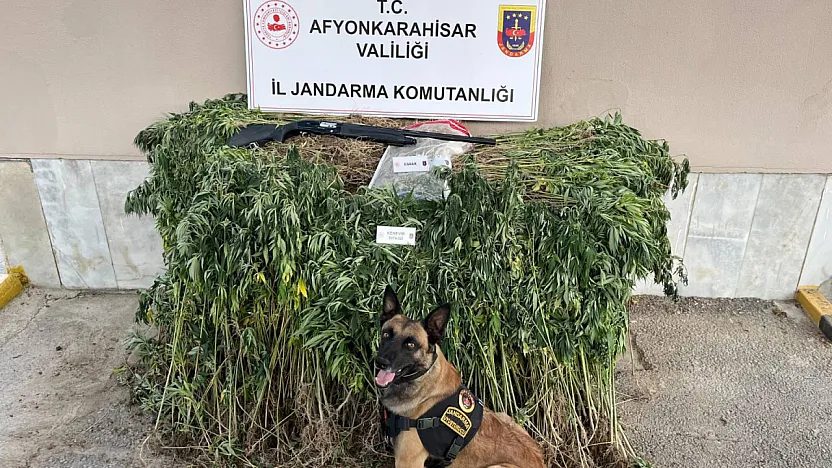 Jandarma Yakasenek Köyünde Zulayı Patlattı