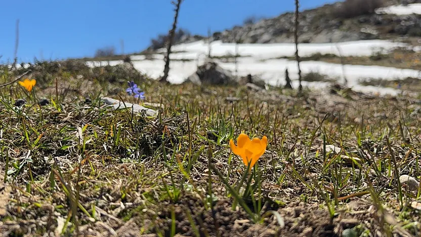 Karların Arasında Bahar Güzelliği: Akgöl Yaylası Mest Etti