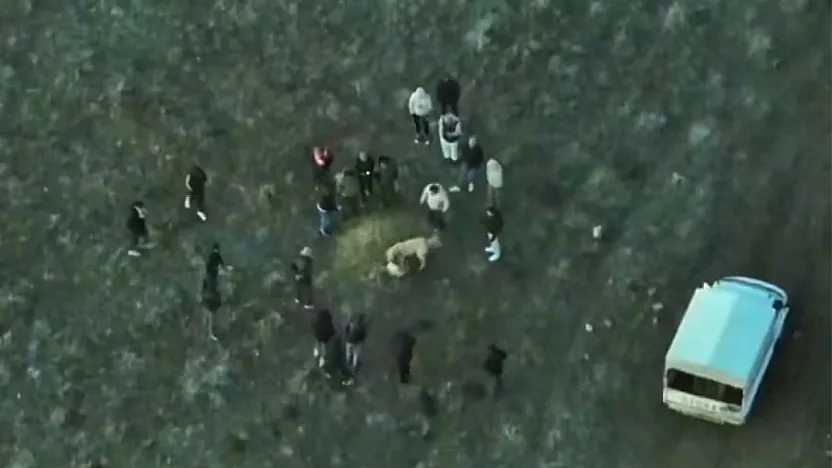 Köpek Dövüştürenler, Jandarma Dronuna Yakalandı