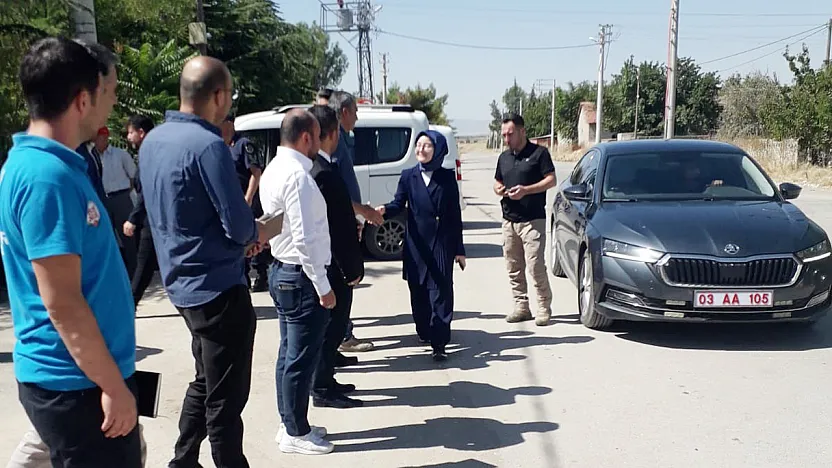 Köyden Gelen Talep: Hasta Görünümlü Sahipsiz Köpekler Toplansın
