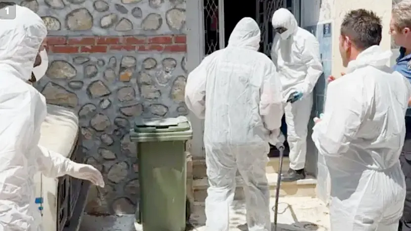 Mahalleyi Pire Bastı, O Hayvanlara Operasyon Yapıldı