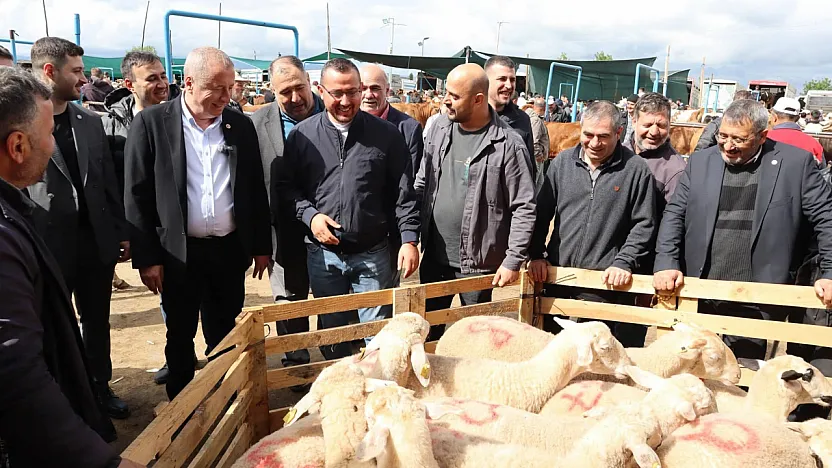 Milletvekili Olgun: Hayvan Pazarında Geçim Mücadelesini Gördük