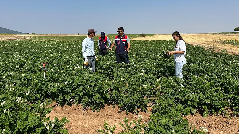 Patates, Ayçiçeği, Nohut… Afyon'da Sıkı Denetim