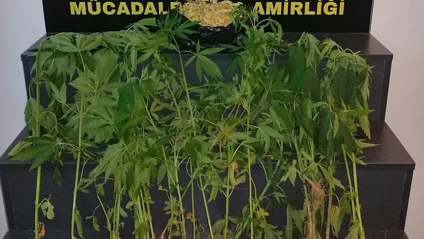 Polisten Uyuşturucu Baskını