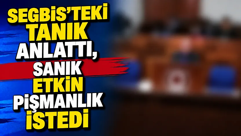 Segbis'teki Tanık Anlattı, Sanık Etkin Pişmanlık İstedi