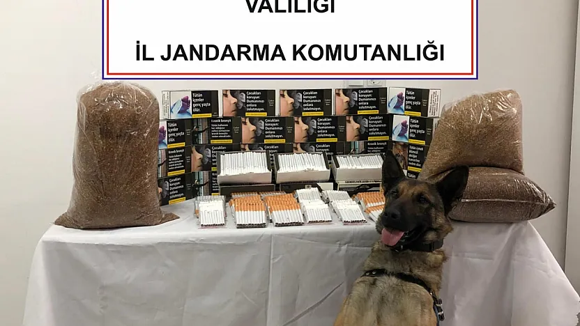 Şehrin Ortasında Kaçak Tütün!