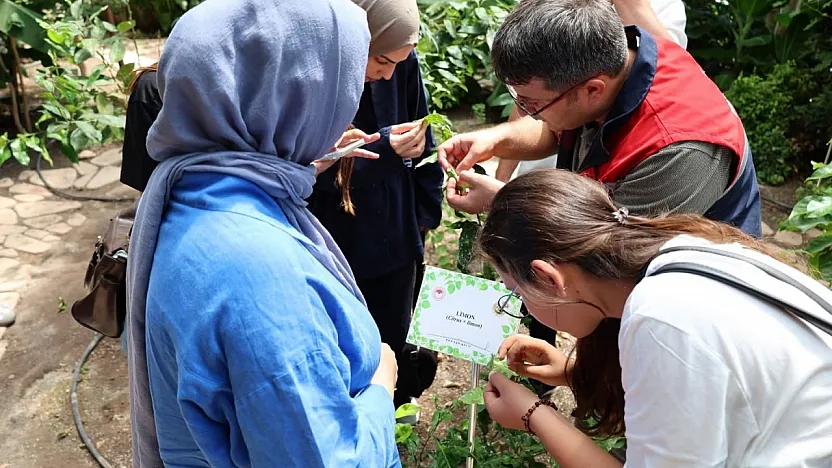 Stajyer Öğrenciler Afyonkarahisar Tıbbi Ve Aromatik Bitkiler Merkezi'ni Gezdi