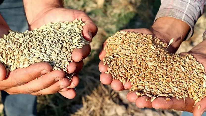Tarihi Not Edin: 5 Ekim Saat 12.00'de Başlıyor!