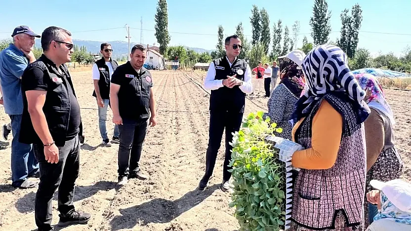 Taşoluk'ta 862 Bin Brokoli Fidesi Toprakla Buluştu