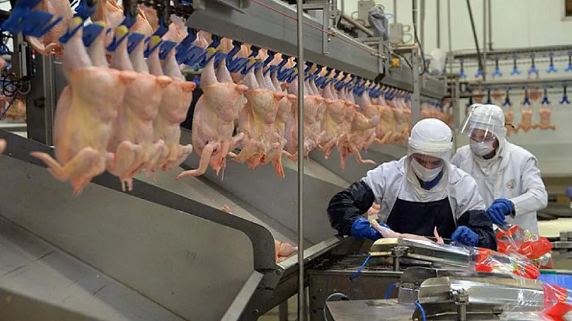 Tavuk Eti İhracatına Ramazan Ayarı