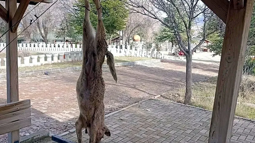 Vahşi Olay Soruşturuluyor