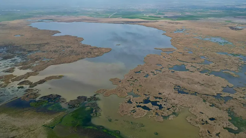 Yağışlar Eber Gölü'ne Can Verdi