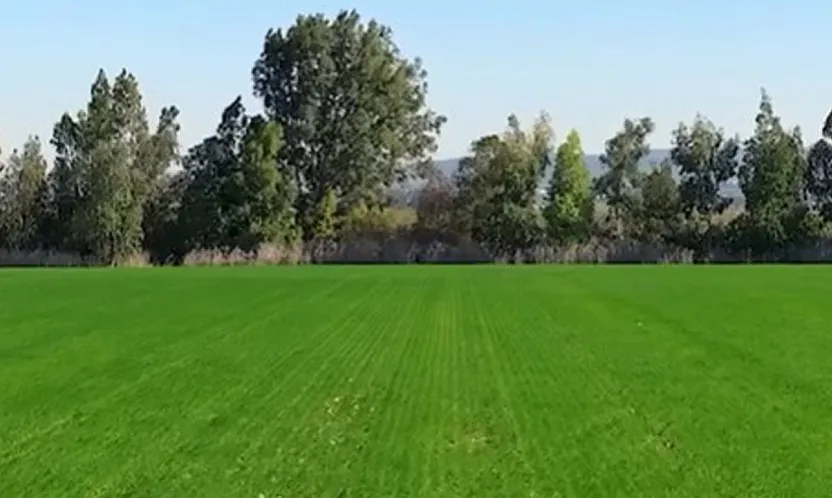 Afyon'a Tarım Üssü Kuruluyor!