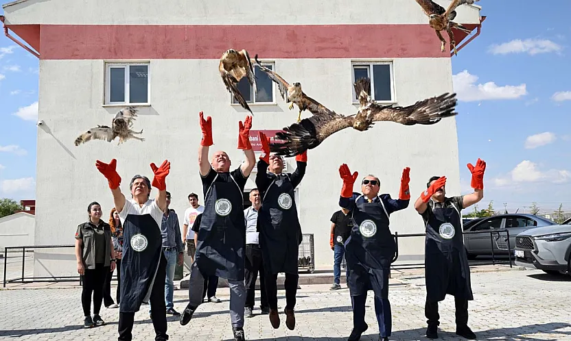 Afyon'da 23 Yaban Hayvanı Hayata Tutundu!