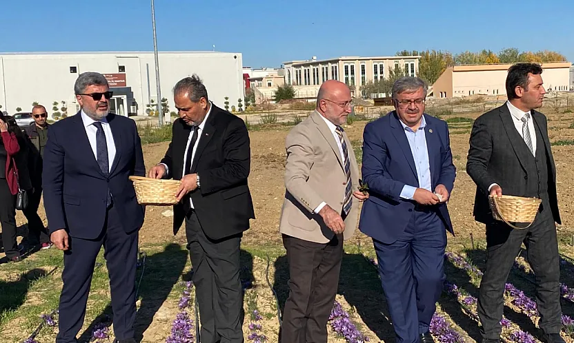 'Afyon'da Alım Garantili Safran Üretilecek'