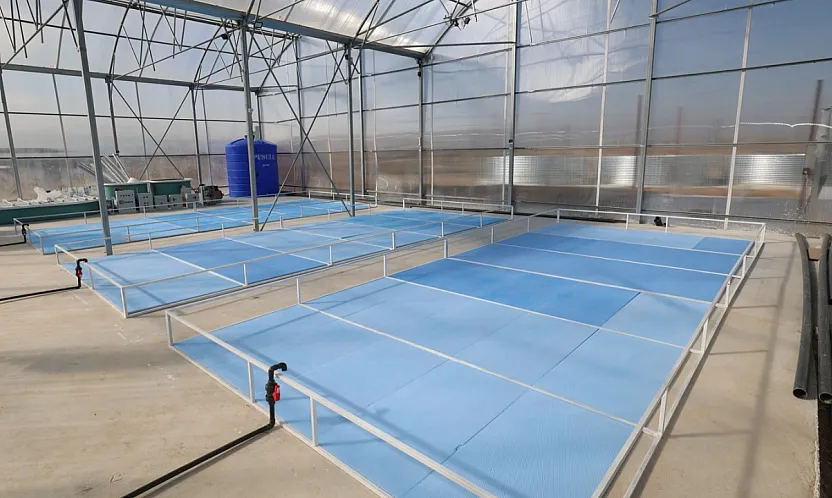 Afyon'da Bu Proje İle Jeotermal Kaynaklar Etkin Kullanılacak