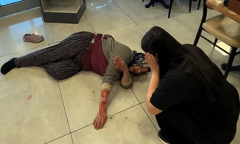 Afyon'da Dehşete Düşüren Köpek Saldırısı