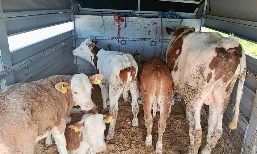 Afyon'da Denetimler Sürüyor: Belgeler Tek Tek İncelendi
