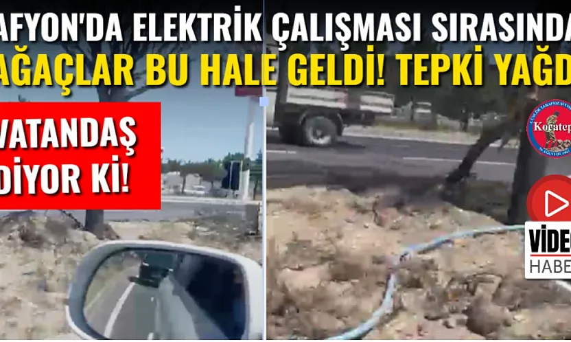 Afyon'da Elektrik Çalışması Sırasında Ağaçlar Bu Hale Geldi! Tepki Yağdı