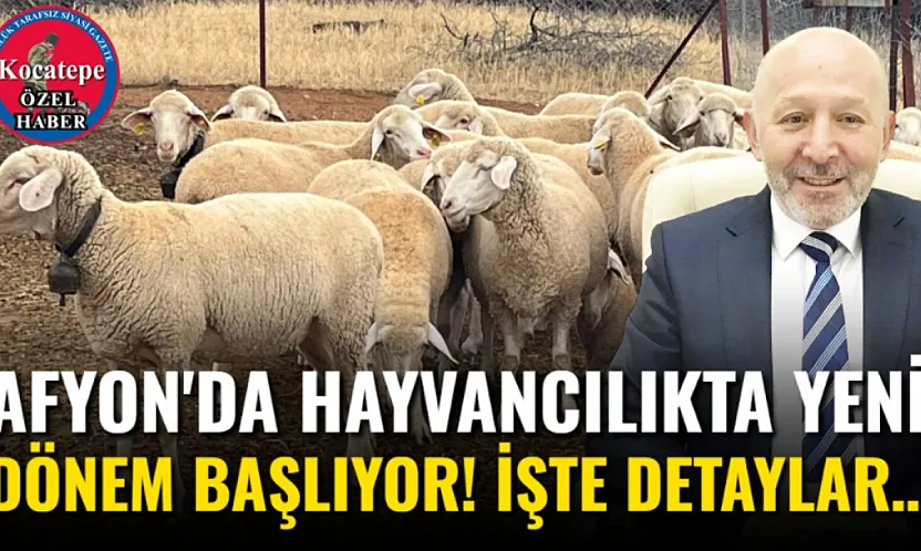 Afyon'da Hayvancılıkta Yeni Dönem Başlıyor! İşte Detaylar…