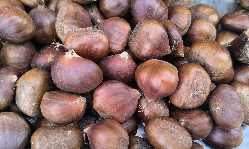 Afyon'da Kestane Fiyatıyla Yüzleri Güldürdü