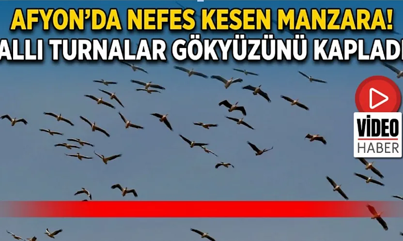 Afyon'da Nefes Kesen Manzara! Allı Turnalar Gökyüzünü Kapladı