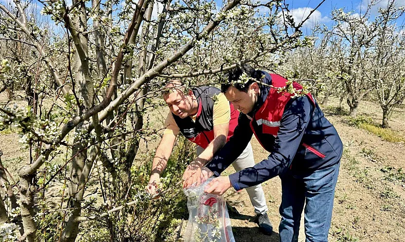 Afyon'da Numuneler İncelemeye Alındı