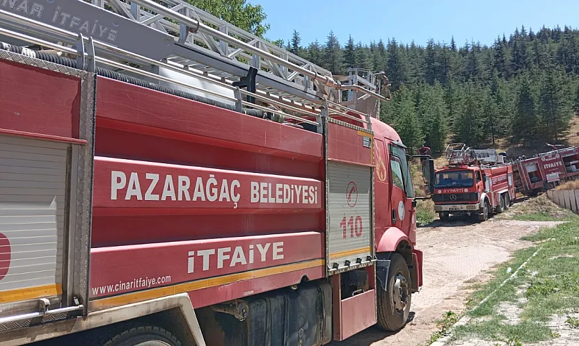 Afyon'da Orman Yangını… Ekipler Anında Müdahale Etti