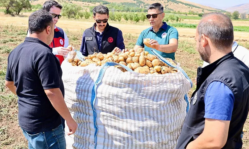 Afyon'da Patates Hasadı Sürüyor! Şuhut'ta Tarlalar Tek Tek İncelendi