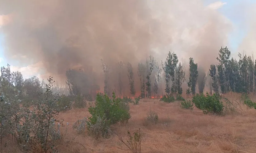 Afyon'da Sıcak Saatler! Kavaklık Alanda Yangın Çıktı