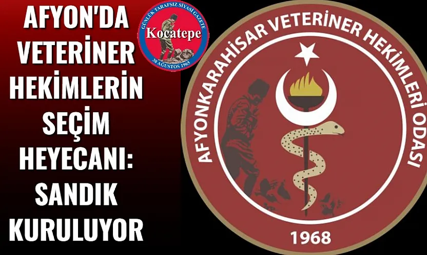 Afyon'da Veteriner Hekimlerin Seçim Heyecanı: Sandık Kuruluyor