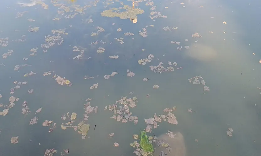 Afyon'da Yaz Gelmeden Kriz Patladı!