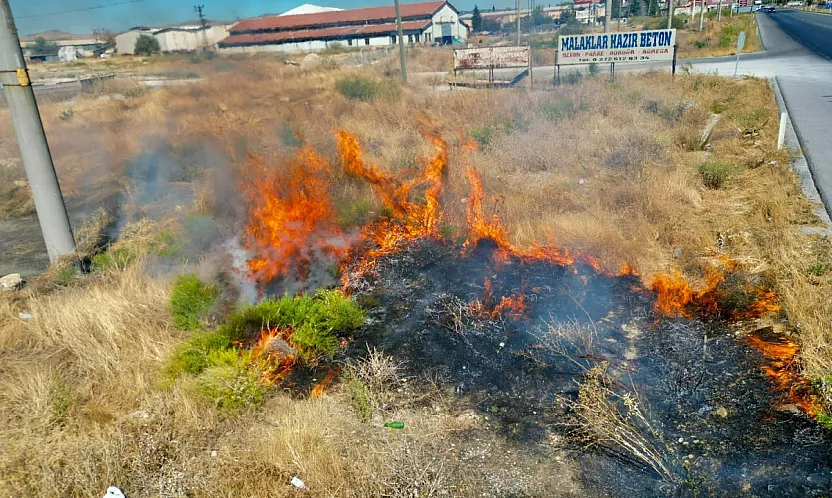 Afyon'da Yol Kenarında Anız Yangını! Sürücüler Zor Anlar Yaşadı