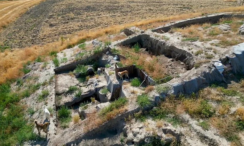 Afyon'daki Tarihi Kazı Alanı Köpeklerin Meskeni Oldu