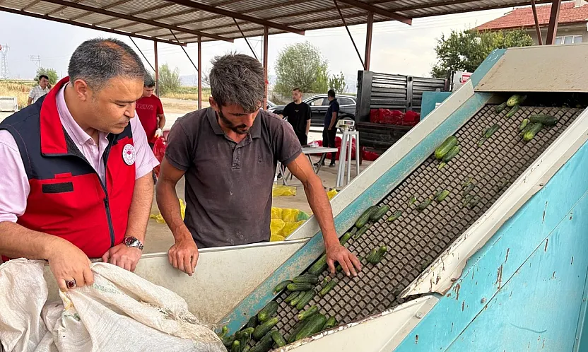Afyon'dan Polonya'ya Kornişon Salatalık İhraç Edildi