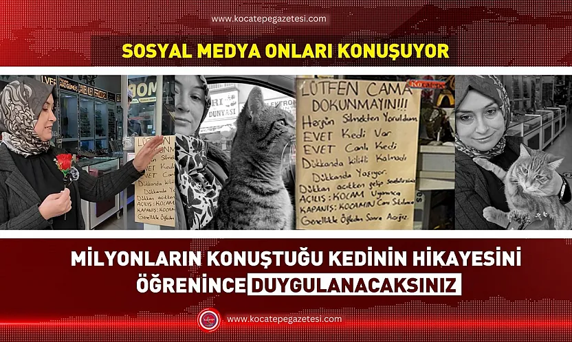 Afyon'un En Ünlü Kedisi Ortaya Çıktı! O Yazının Sırrı Çözüldü