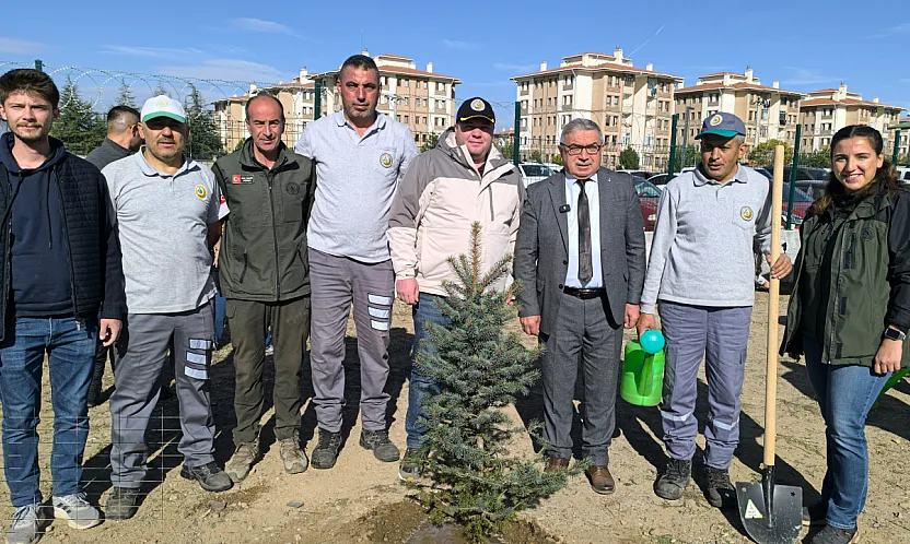 Afyonkarahisar'da Binlerce Fidan Toprakla Buluşturuldu
