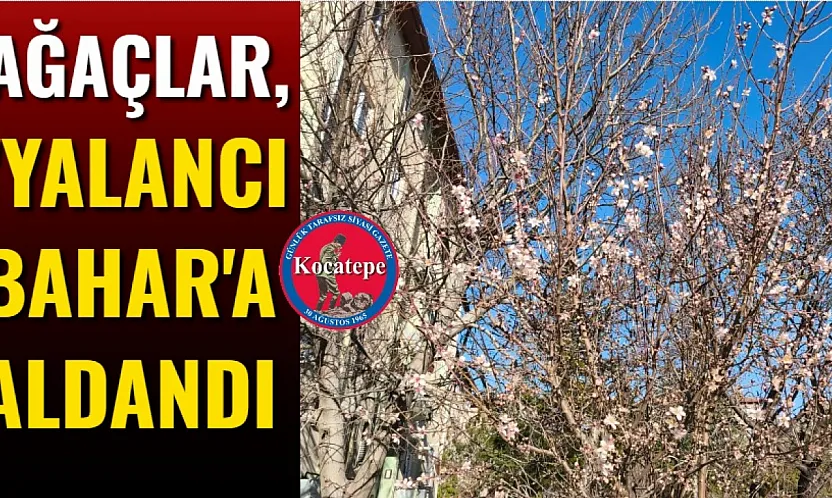Ağaçlar, 'Yalancı Bahar'a Aldandı