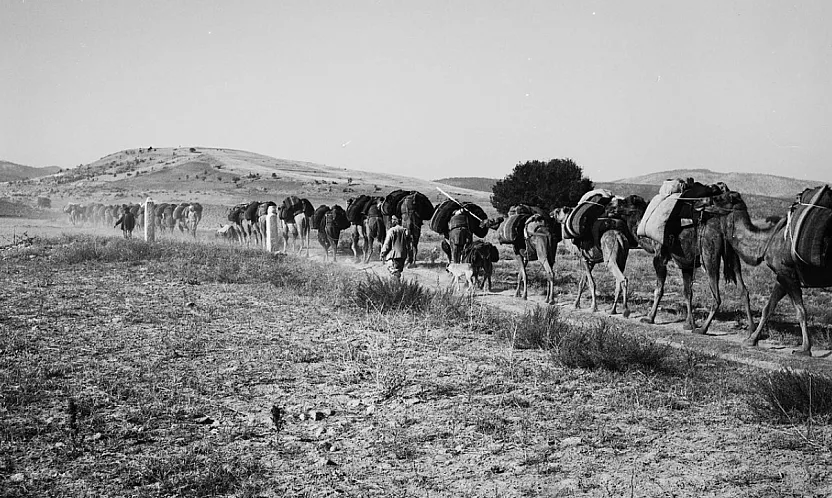 Albert Gabriel'in Objektifinden 1937 Yılında Afyonkarahisar