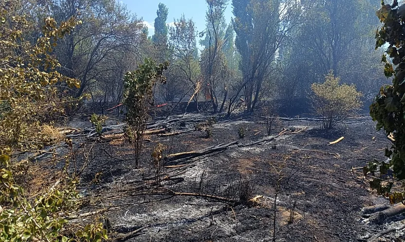 Alevler Büyümeden Söndürüldü