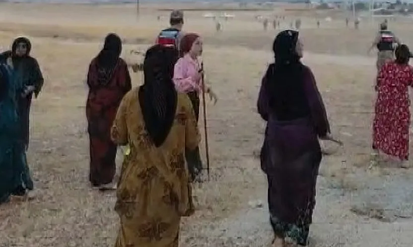 Arazi Anlaşmazlığı Kavgaya Dönüştü: 8 Yaralı