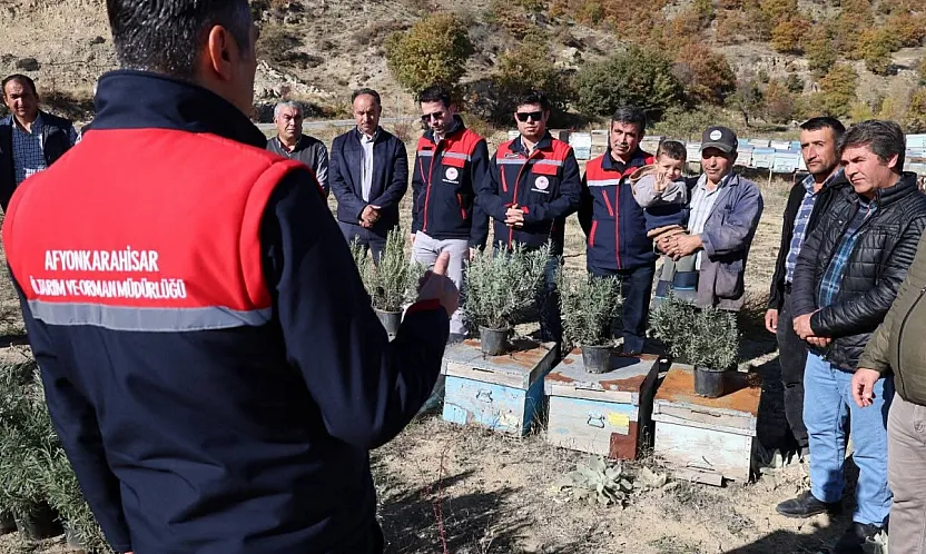 Arıcalara Lavanta Fidesi Dağıtıldı