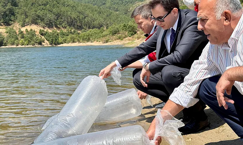 Barajlara 200 Bin Balık Bırakıldı