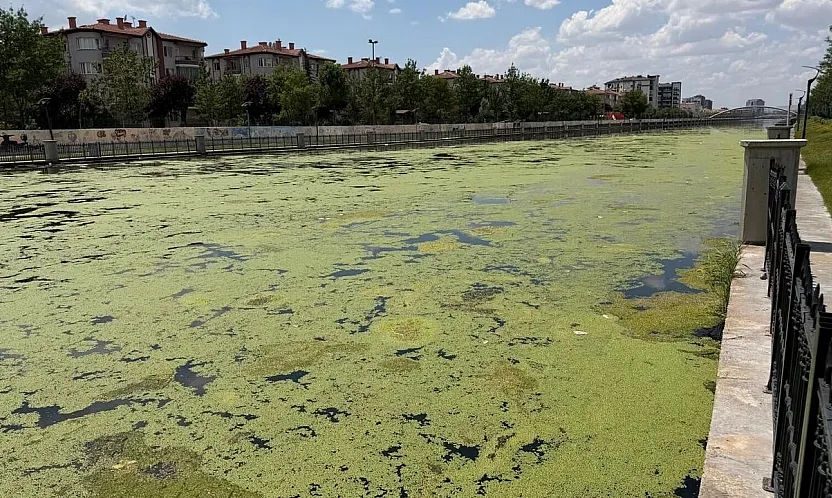 Bu Görüntü Afyon'a Yakışmıyor!