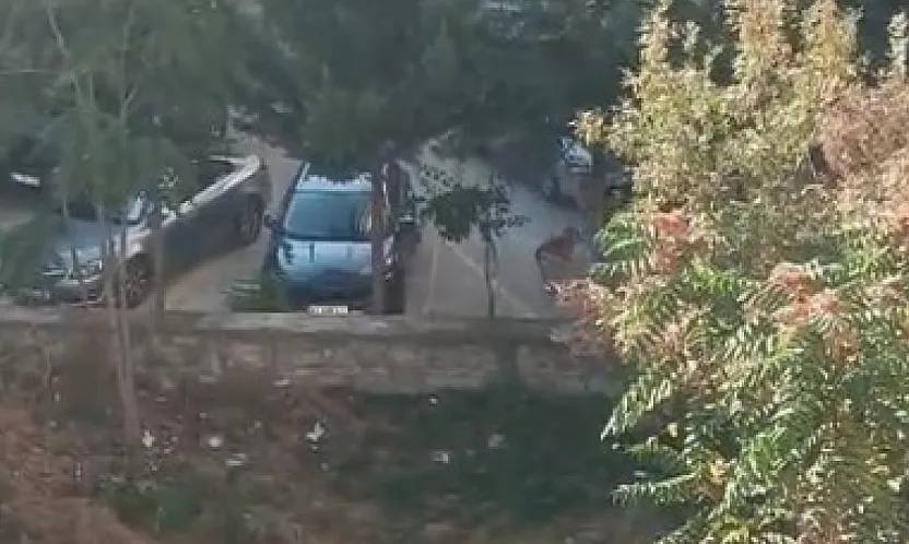 'Bu köpekler çocuklara saldırsa kim sorumluluk alacak?'