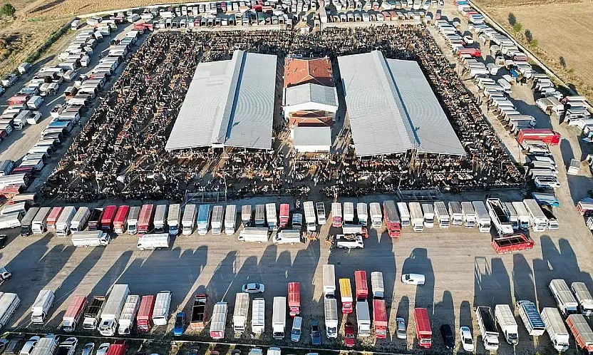 Çayırbağ Hayvan Pazarı Önlem Amaçlı Kapatıldı