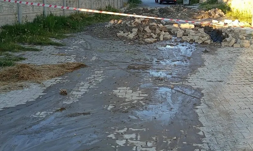 Çukura Düşen İnek Olayında Belediye'den Açıklama Var