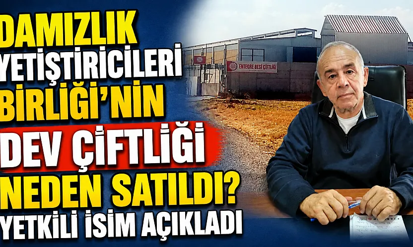 Damızlık Yetiştiricileri Birliği'nin Dev Çiftliği Neden Satıldı? Yetkili İsim Açıkladı